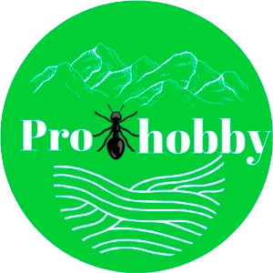 proantshobby.com